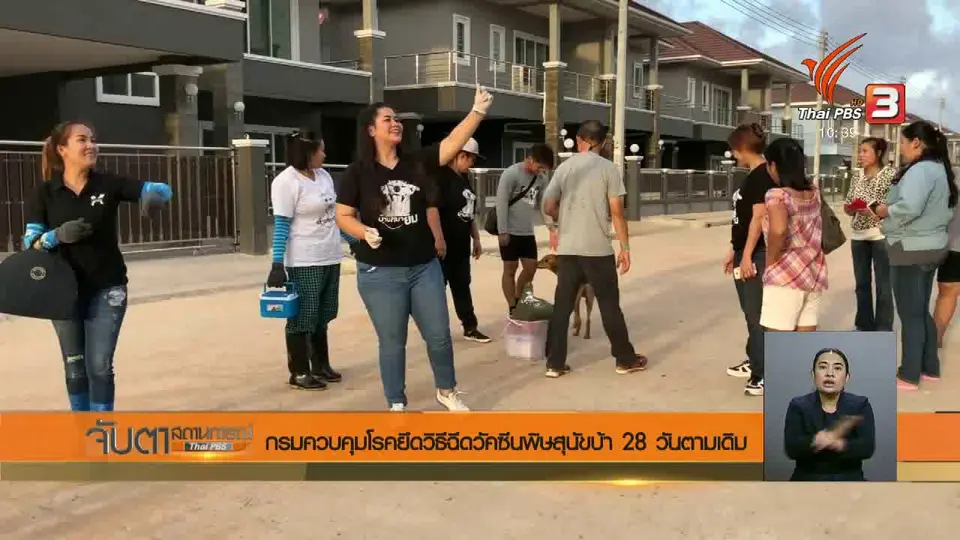 กรมควบคุมโรคยึดวิธีฉีดวัคซีนพิษสุนัขบ้า 28 วันตามเดิม