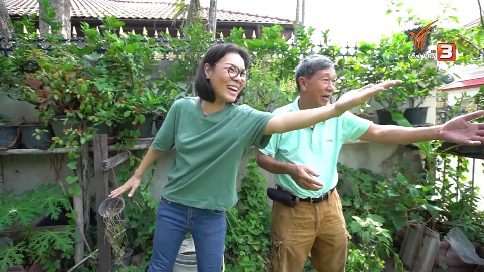 ​สูงวัยไทยแลนด์ : ปลูกผักหน้าบ้าน