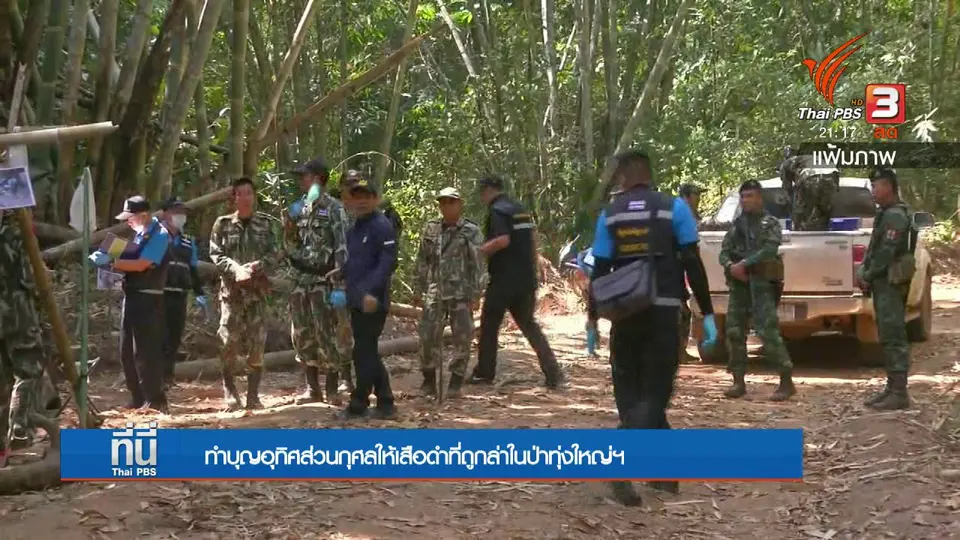 ทำบุญอุทิศส่วนกุศลให้เสือดำที่ถูกล่าในป่าทุ่งใหญ่ฯ