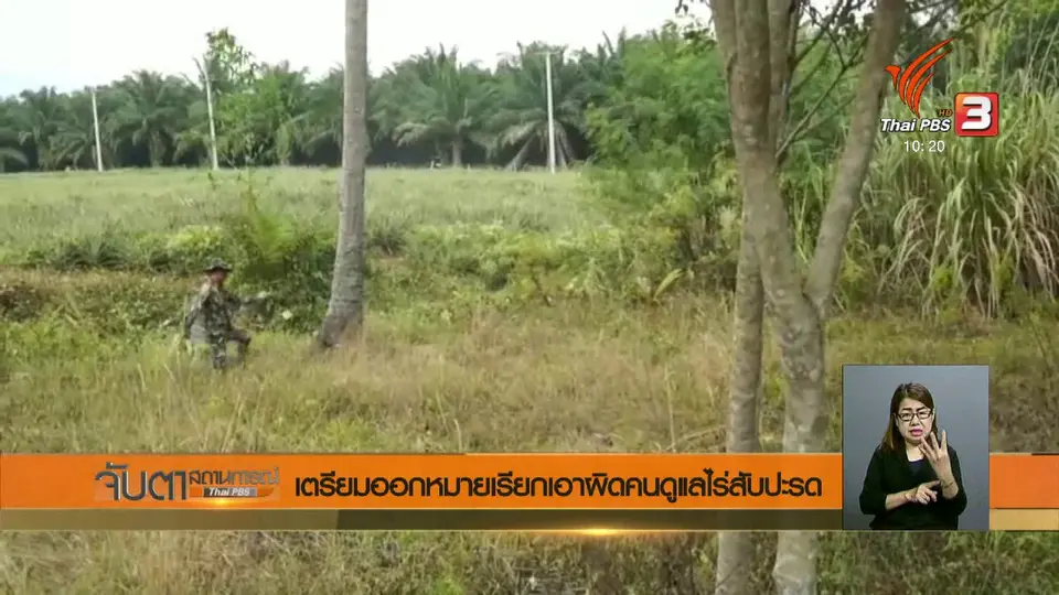 เตรียมออกหมายเรียกเอาผิดคนดูแลไร่สับปะรด
