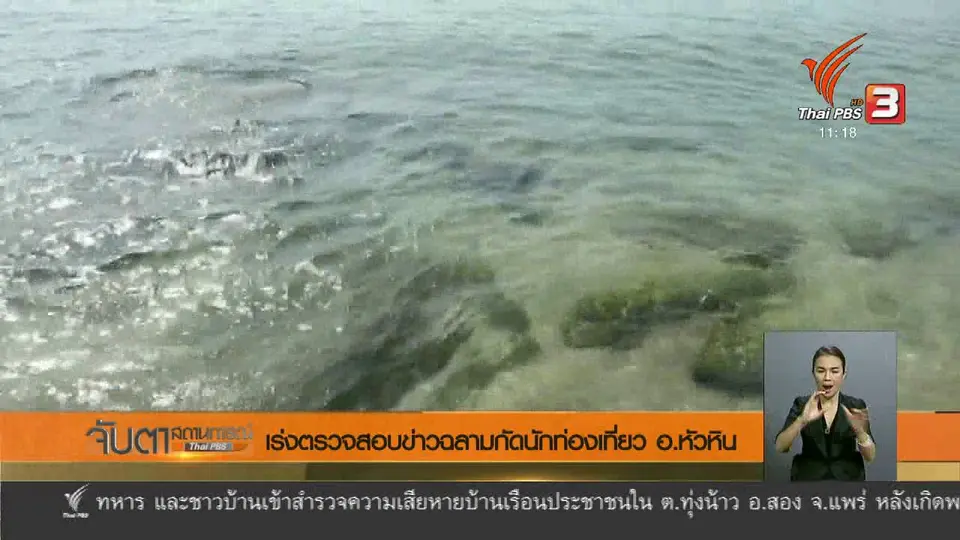 เร่งตรวจสอบข่าวฉลามกัดนักท่องเที่ยว อ.หัวหิน