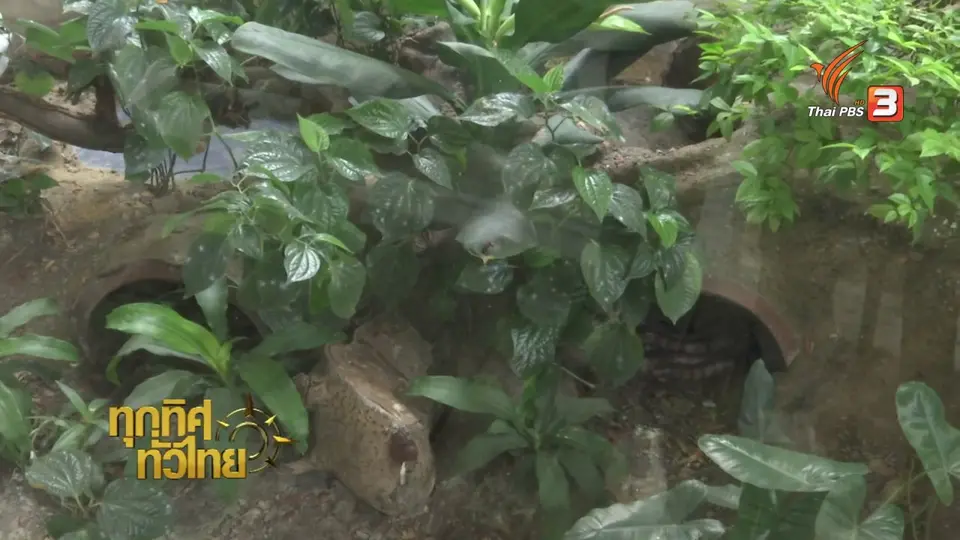 ชุมชนทั่วไทย: สถานเสาวภาจัดอบรมจับงูอย่างถูกวิธี