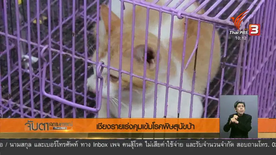 เชียงรายเร่งคุมเข้มโรคพิษสุนัขบ้า