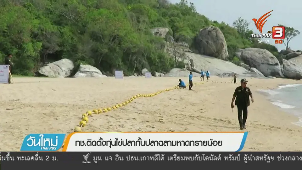 ทช.ติดตั้งทุ่นไข่ปลากั้นปลาฉลามหาดทรายน้อย