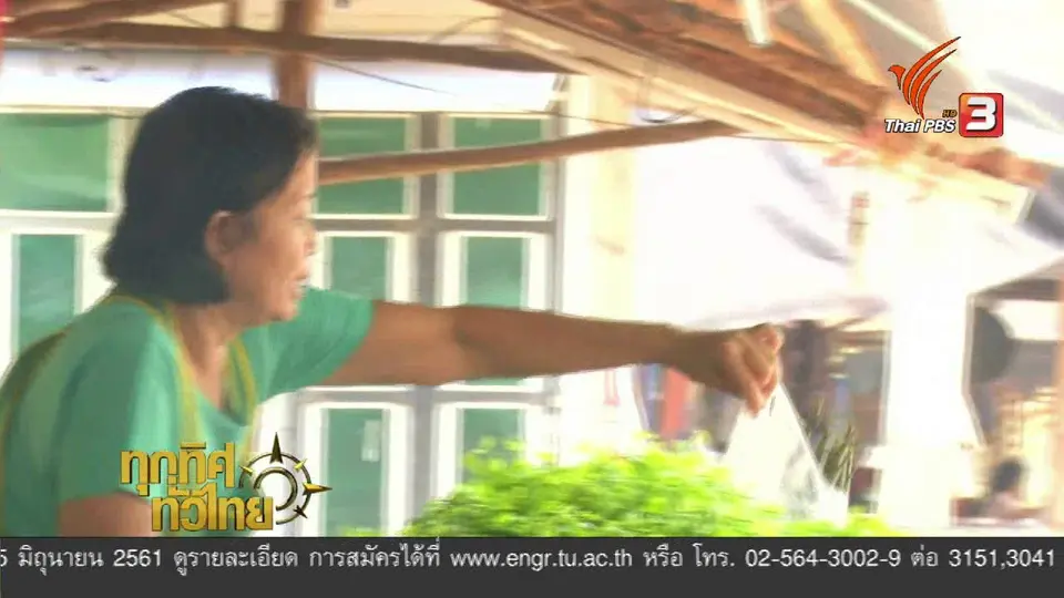 อาชีพทั่วไทย: ปลูกผักหวานป่า