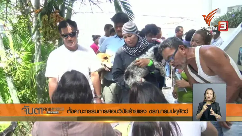 ตั้งคณะกรรมการสอบวินัยร้ายแรง ขรก.กรมปศุสัตว์