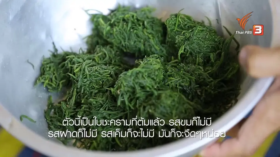 เรียนรู้วิถีไทย : ขนมใบชะคราม บ้านต้นลำแพน จ.สมุทรสงคราม