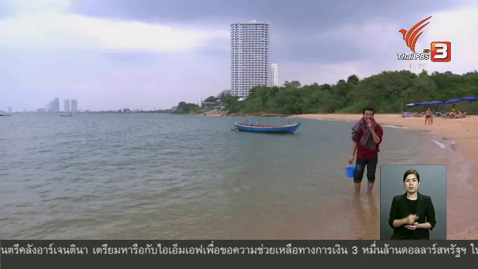 ตะลุยทั่วไทย : หอยตลับ