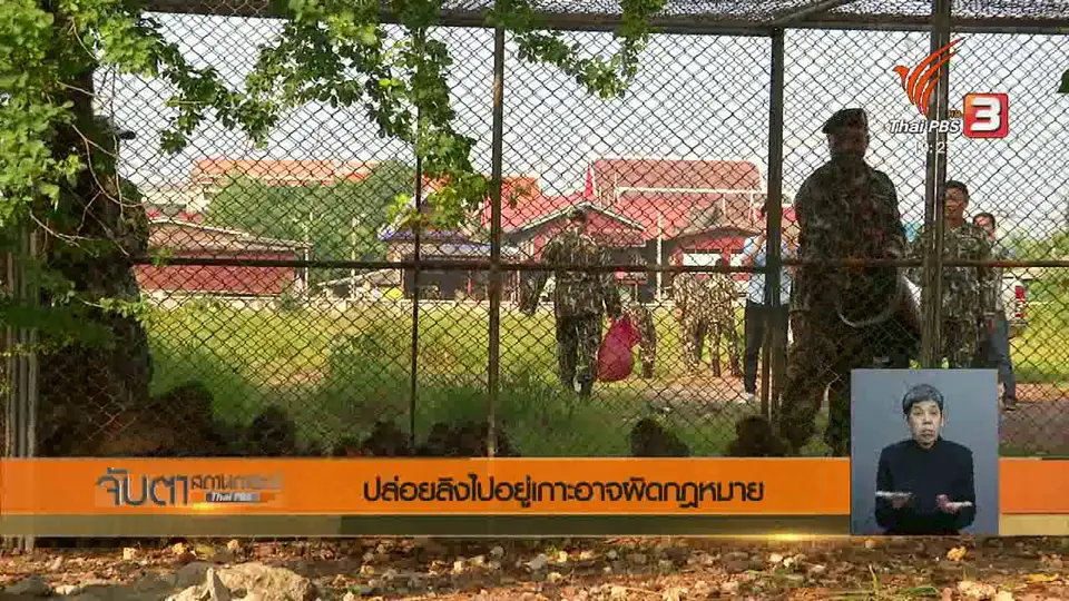 ผลการศึกษาพบลิงสร้างความเดือดร้อน