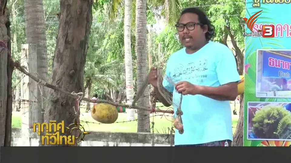 ชุมชนทั่วไทย : สร้างบ้านปลาอนุบาลสัตว์ทะเลที่หาดสามร้อยยอด