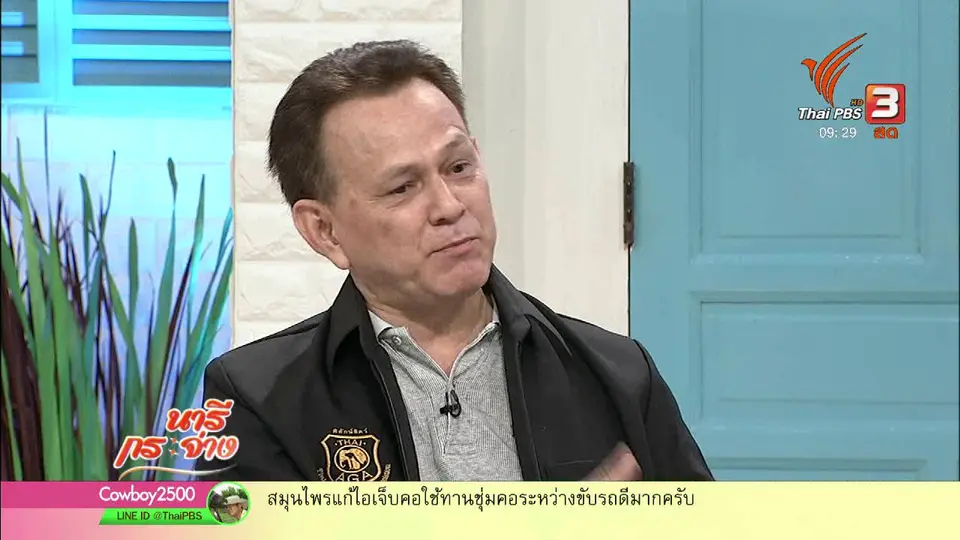 นารีสนทนา : ย้ายลิงสู่เกาะ แก้ปัญหาข้อพิพาทลิง - คน 12 จังหวัด
