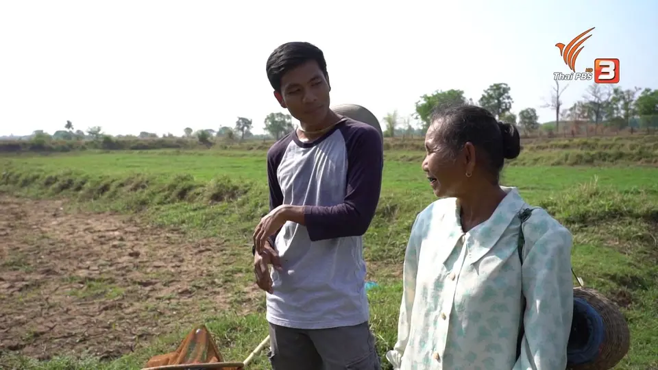 สูงวัยไทยแลนด์ : ป้าน้อยจอมขยัน