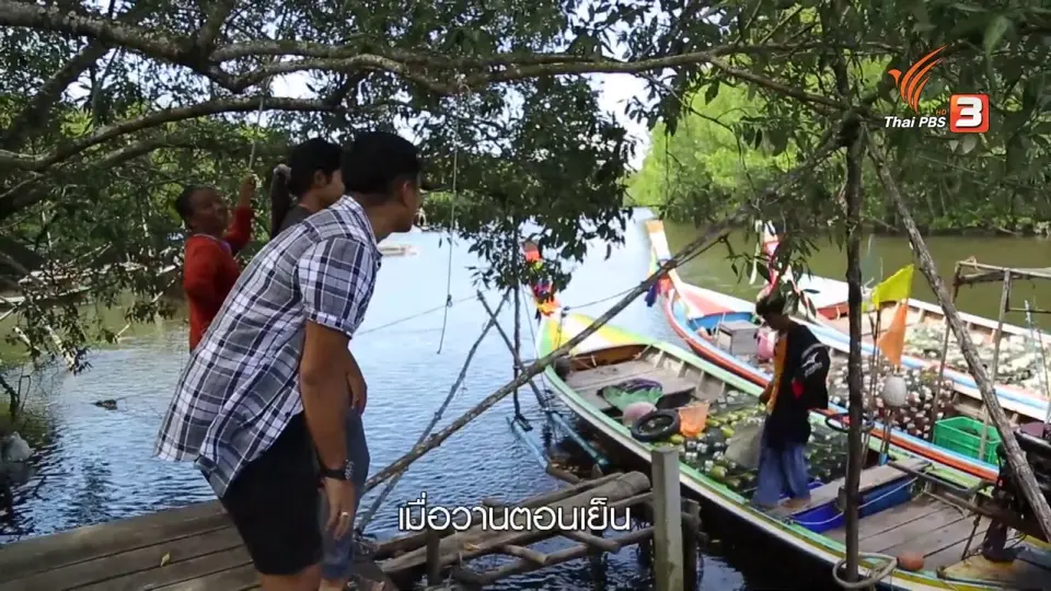 เรียนรู้วิถีไทย : วิถีธรรมชาติ บ้านน้ำราบ จ.ตรัง
