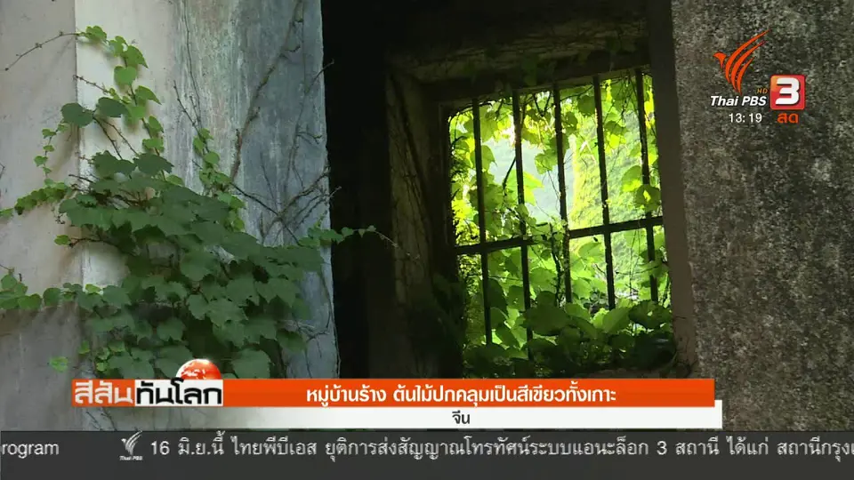 หมู่บ้านร้าง ต้นไม้ปกคลุมเป็นสีเขียวทั้งเกาะ