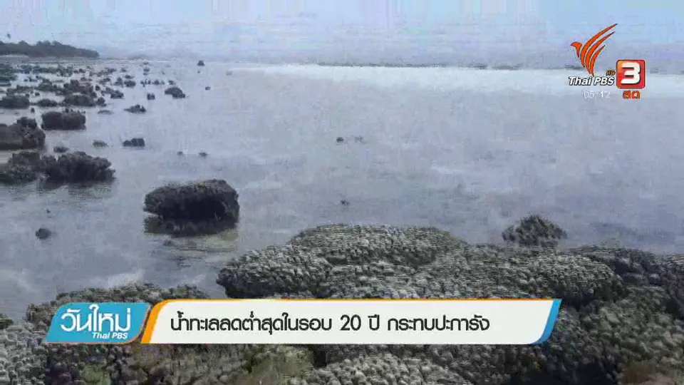 น้ำทะเลลดต่ำสุดในรอบ 20 ปี กระทบปะการัง