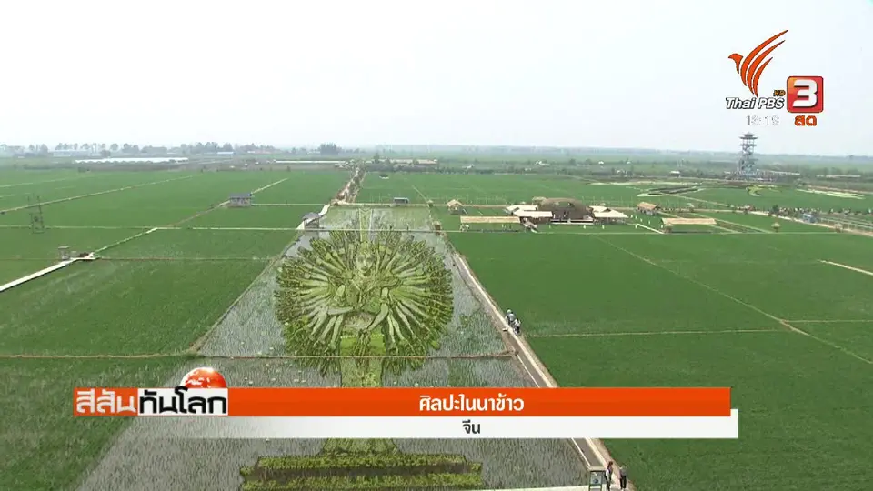 ศิลปะในนาข้าว
