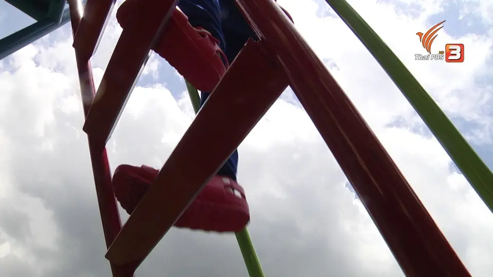 Super Fun น้ำนม : น้องเติร์ด