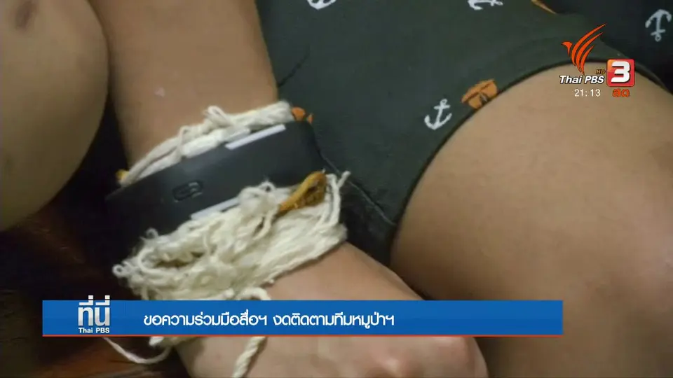 ขอความร่วมมืองดติดตามทีมหมูป่าฯ