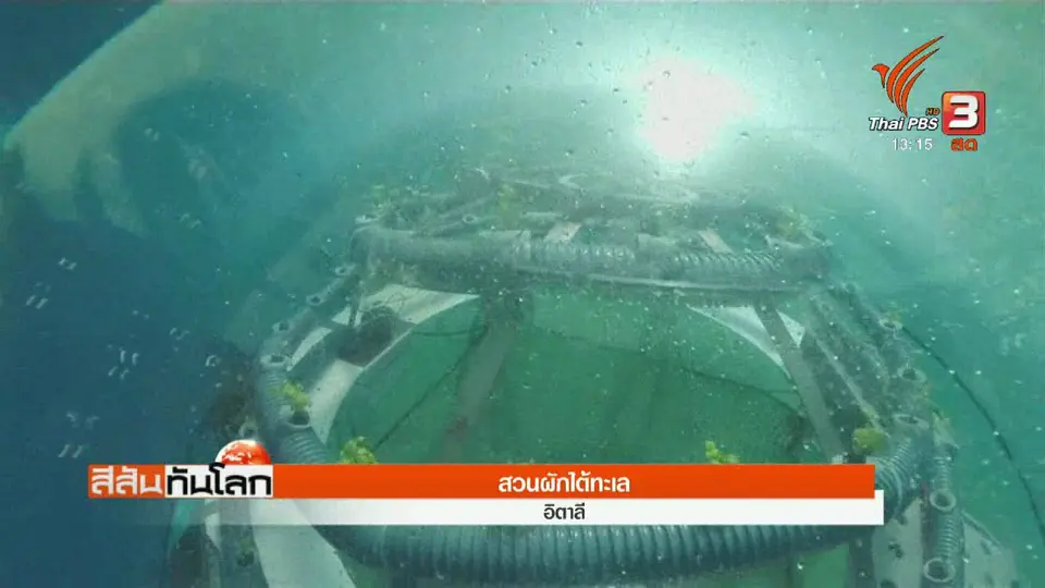 สวนผักใต้ทะเล