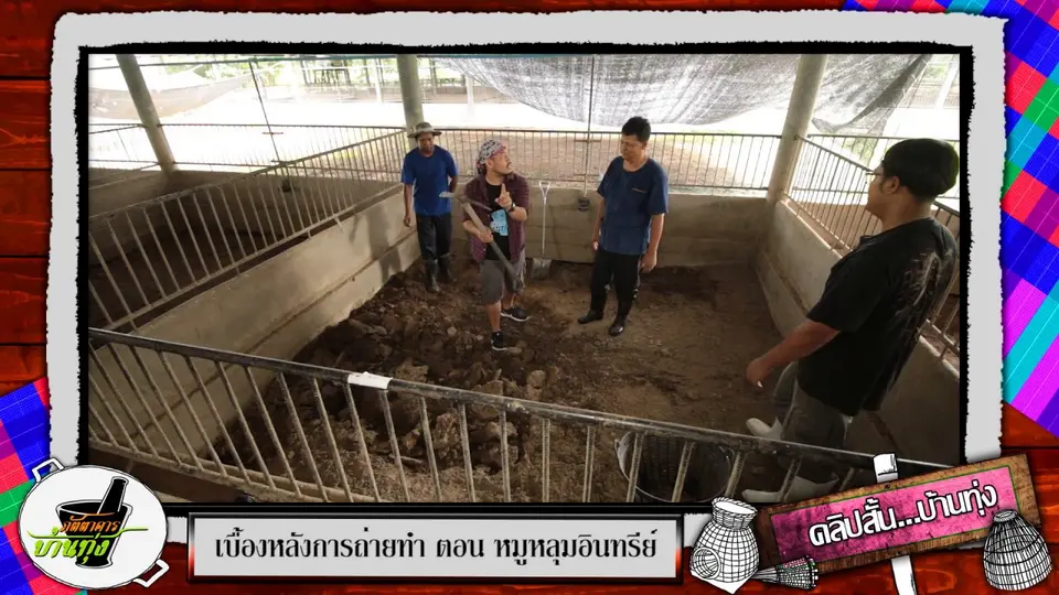 คลิปบ้านทุ่ง : ฟาร์มหมูตัวอย่าง