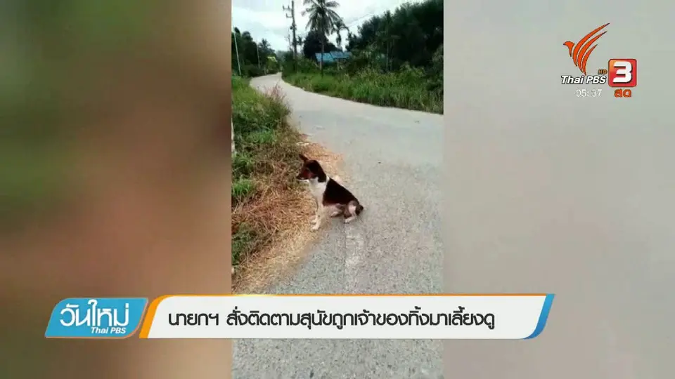 นายกฯ สั่งติดตามสุนัขถูกเจ้าของทิ้งมาเลี้ยงดู