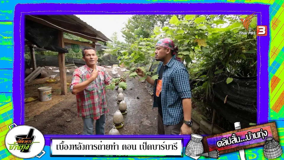 คลิปบ้านทุ่ง : พืชผักสวนครัวข้างบ้าน