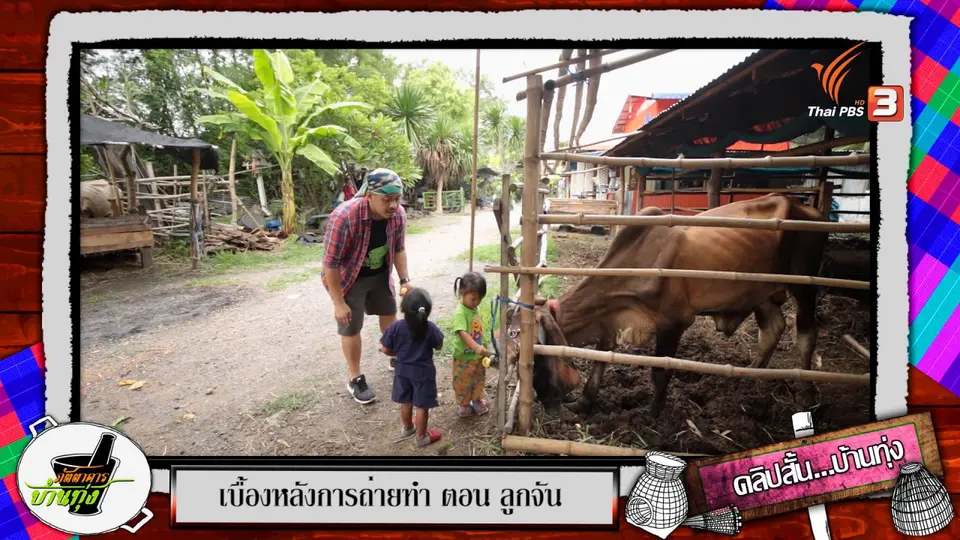 คลิปบ้านทุ่ง : มาให้อาหารวัวกัน