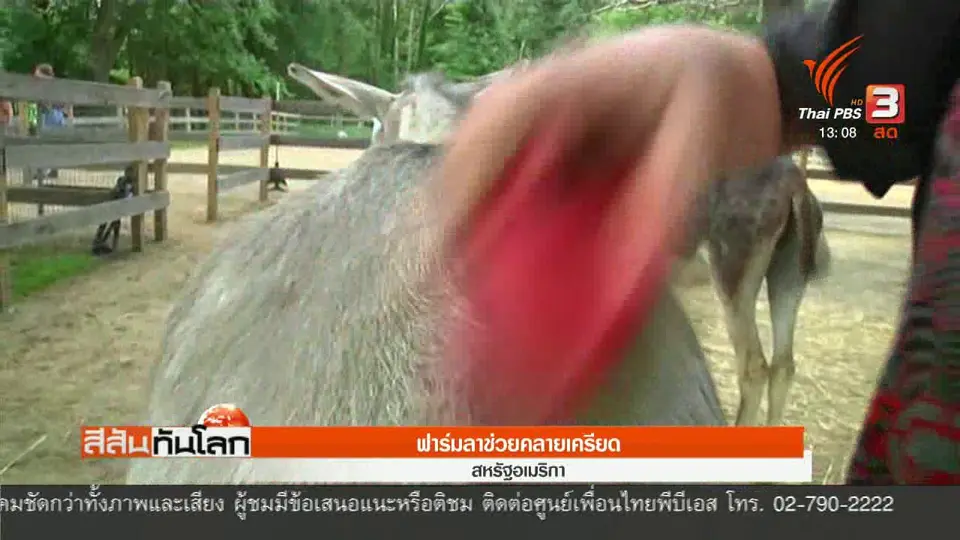 ฟาร์มลาช่วยคลายเครียด