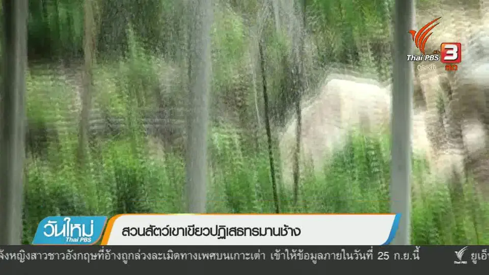 สวนสัตว์เขาเขียวปฏิเสธทรมานช้าง