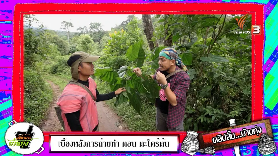 คลิปบ้านทุ่ง : พืชป่ากินได้