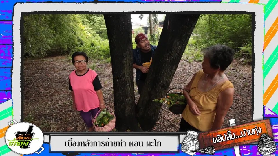คลิปบ้านทุ่ง : กิ้งกือ