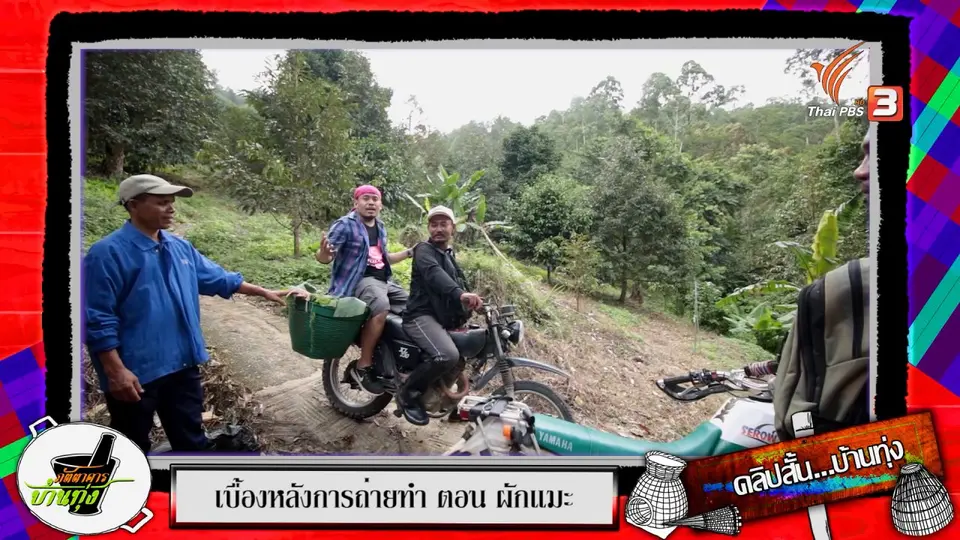 คลิปบ้านทุ่ง : ลงเขา