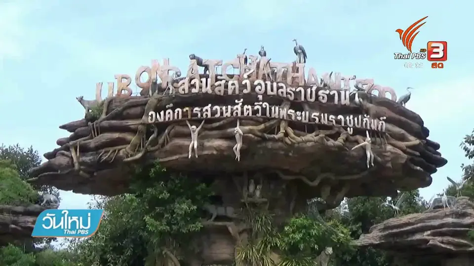 สวนสัตว์อุบลราชธานีเตรียมรับสัตว์จากสวนสัตว์ดุสิต