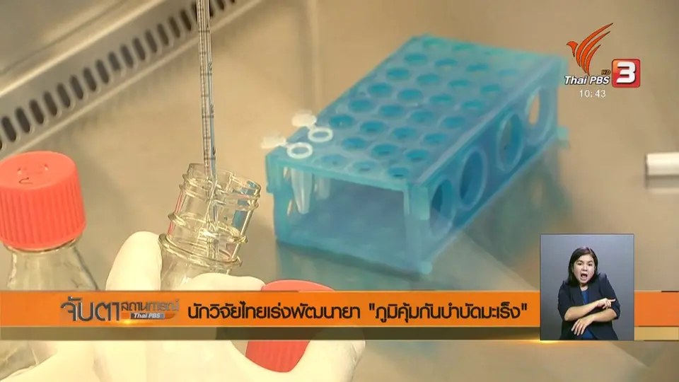 นักวิจัยไทยเร่งพัฒนายา "ภูมิคุ้นกันบำบัดมะเร็ง"
