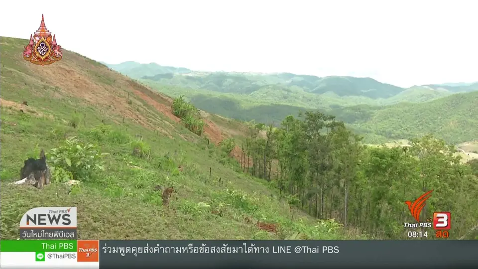 จับตาข่าวเด่น : ปัญหาฝุ่น PM 2.5 กับการเผาไร่อ้อย