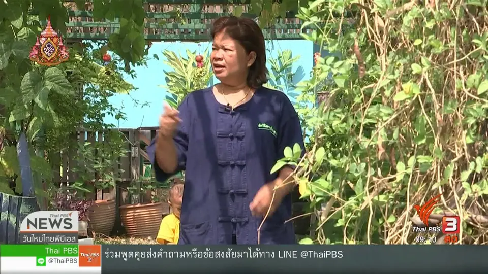 ประเด็นทางสังคม : สร้างสังคมให้ยั่งยืน เข้มแข็ง ด้วยแปลงเกษตรชุมชน