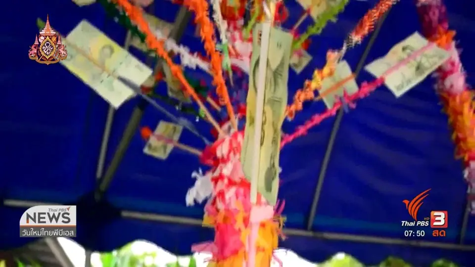 C-site Report : แข่งเรือพายเชื่อมสัมพันธ์ สงกรานต์บ้านสบกก จ.เชียงราย