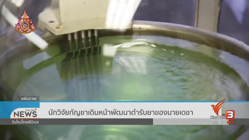 นักวิจัยกัญชาเดินหน้าพัฒนาตำรับยาของนายเดชา