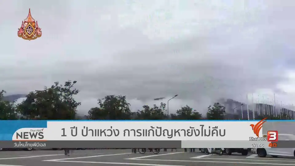 ​C-site Report : ครอบรอบ 1 ปี เครือข่ายขอคืนพื้นที่ป่าดอยสุเทพ