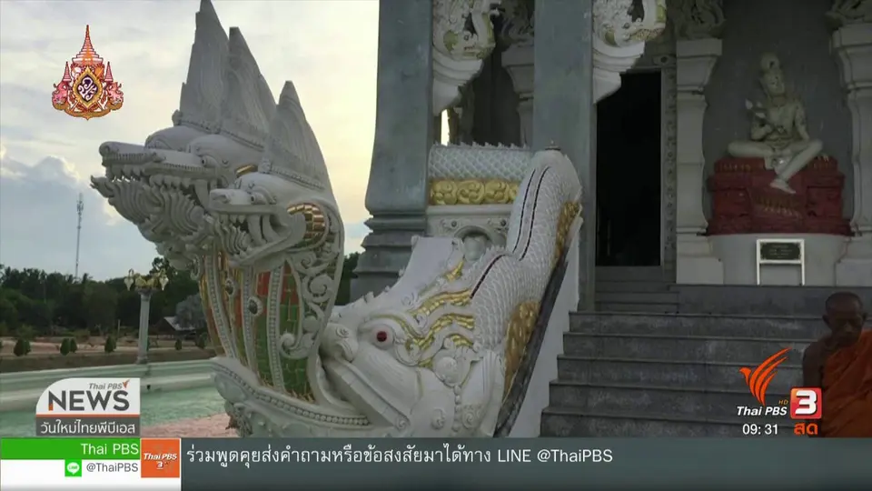 ​สีสันทั่วไทย (29 เม.ย. 62)