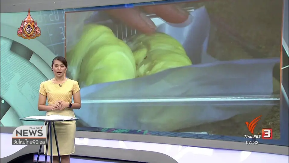 ​ลงทุนทำกิน : ห่วงทุเรียนซ้ำรอยยางพารา