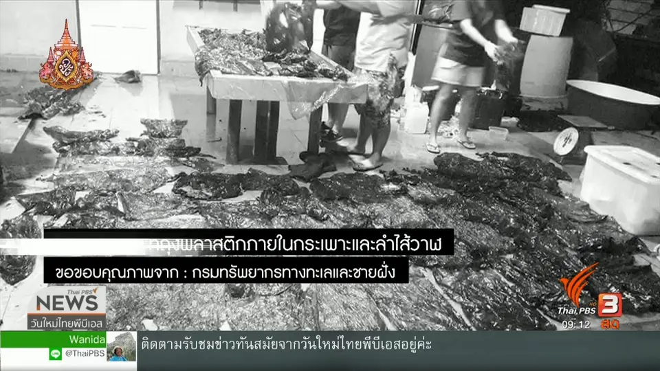 ประเด็นทางสังคม : "พลาสติก" ภัยคุกคามจากขยะทะเล