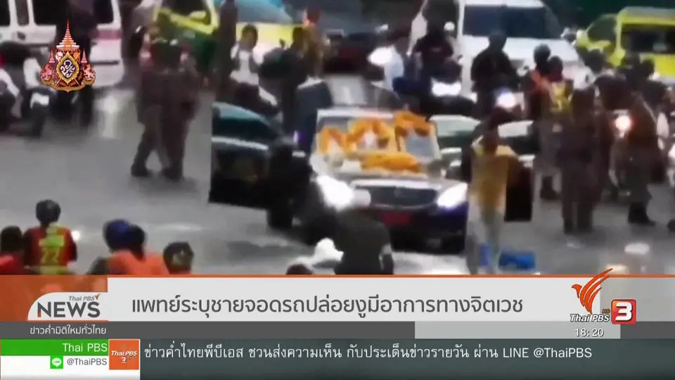 แพทย์ระบุชายจอดรถปล่อยงูมีอาการทางจิตเวช