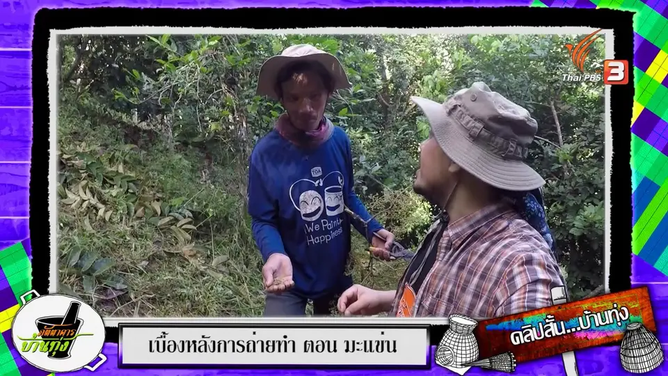 คลิปบ้านทุ่ง : “มะแข่น” กินสด ได้นะ