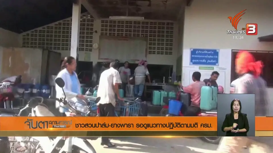 ชาวสวนปาล์ม ยางพารา รอดูแนวทางปฏิบัติตามมติ ครม.