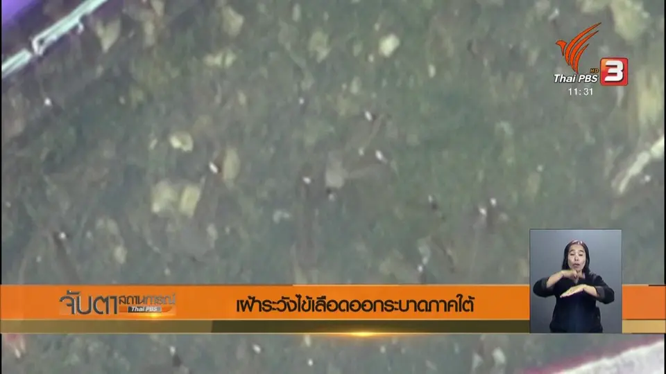 เฝ้าระวังไข้เลือดออกระบาดภาคใต้