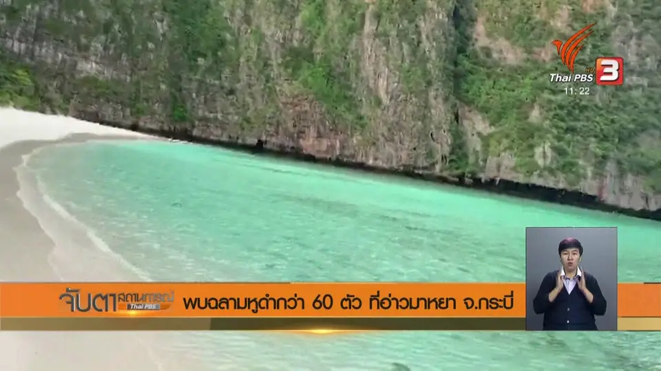 พบฉลามหูดำกว่า 60 ตัว ที่อ่าวมาหยา จ.กระบี่