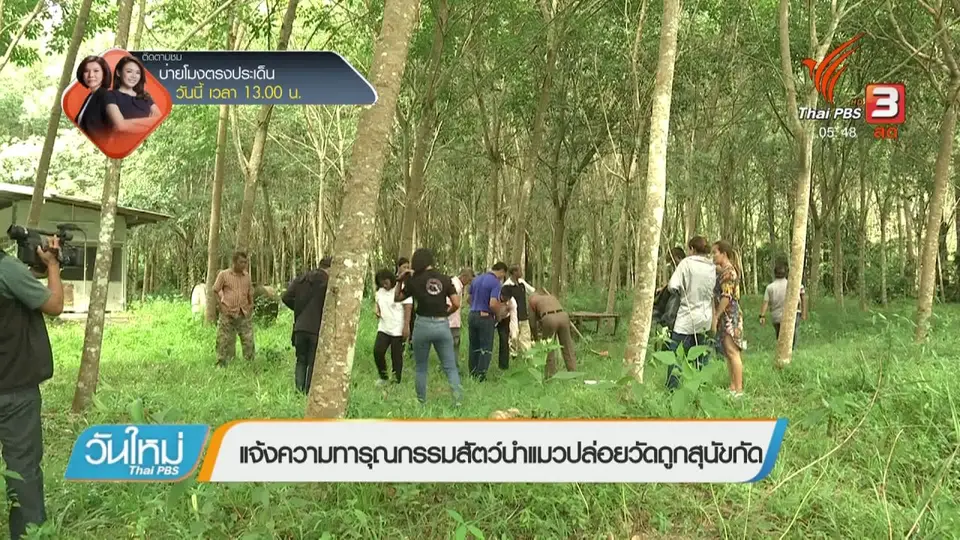 แจ้งความทารุณกรรมสัตว์นำแมวปล่อยวัดถูกสุนัขกัด