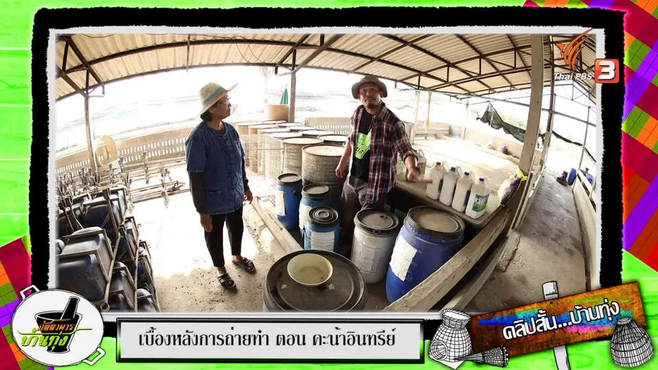 คลิปบ้านทุ่ง : ทดสอบรสชาติ "คะน้าอินทรีย์"