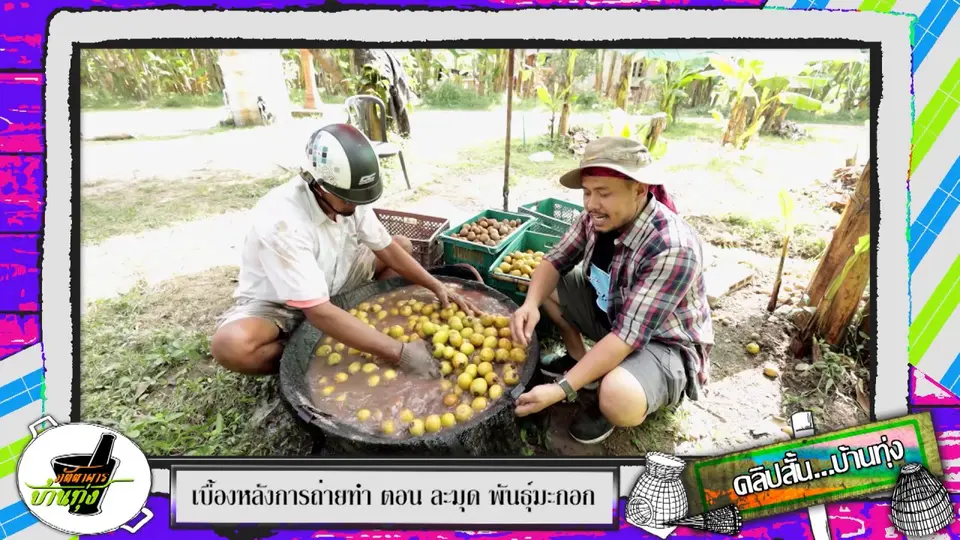 คลิปบ้านทุ่ง : ขั้นตอนการล้างละมุด